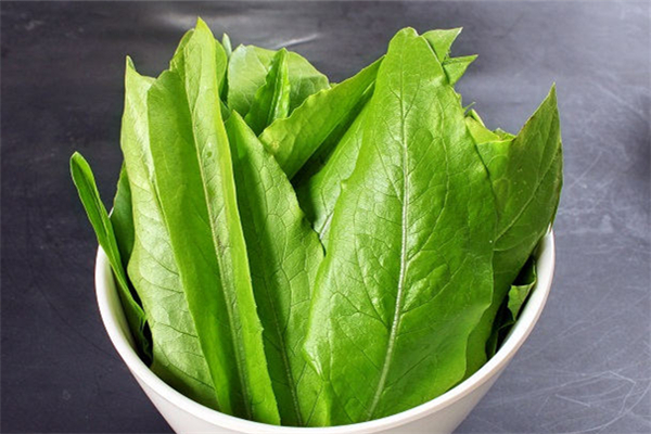 油麥菜對胃好嗎 油麥菜對便秘有好處嗎 油麥菜對胃好嗎 油麥菜對便秘有好處嗎