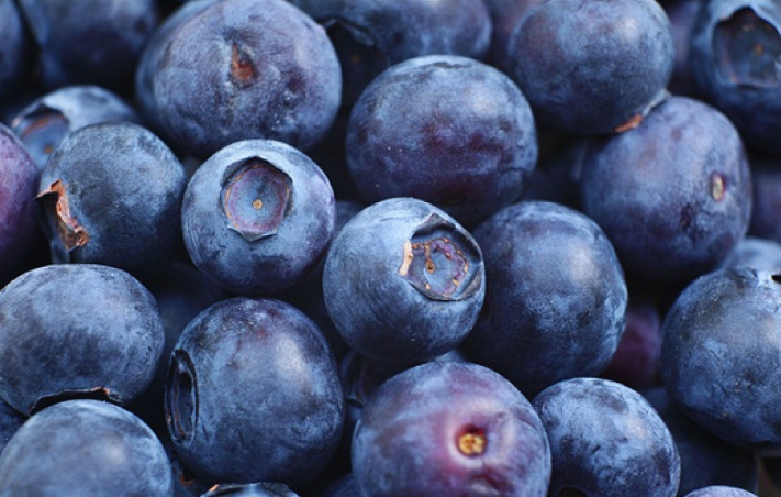 藍(lán)莓軟了是不是壞了 藍(lán)莓去火還是上火 藍(lán)莓軟了是不是壞了 藍(lán)莓去火還是上火