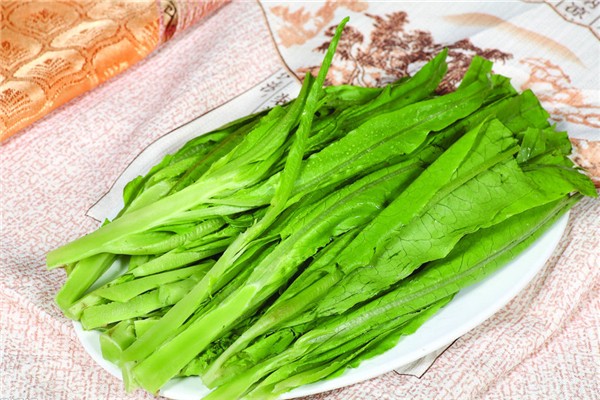 油麥菜炒出來怎么是苦的 油麥菜怎么做好吃 油麥菜炒出來怎么是苦的 油麥菜怎么做好吃