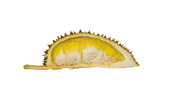 榴蓮一直不開口是不是就不能吃了 榴蓮一直不開口怎么辦 榴蓮一直不開口是不是就不能吃了 榴蓮一直不開口怎么辦