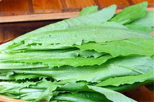 油麥菜可以降火嗎 油麥菜上火還是降火 油麥菜可以降火嗎 油麥菜上火還是降火