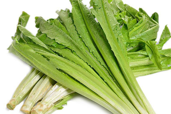 油麥菜生吃好嗎 油麥菜生吃好還是熟吃好 油麥菜生吃好嗎 油麥菜生吃好還是熟吃好