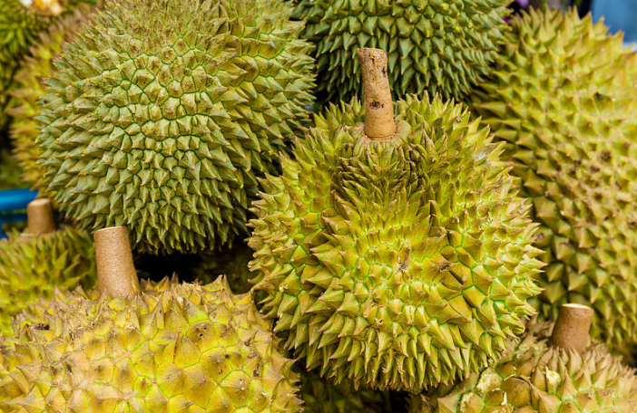 榴蓮沒開口是不是沒熟 榴蓮沒開口放幾天會自動開口嗎 榴蓮沒開口是不是沒熟 榴蓮沒開口放幾天會自動開口嗎