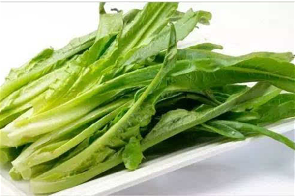 油麥菜發(fā)苦是怎么回事 油麥菜發(fā)苦能吃嗎 油麥菜發(fā)苦是怎么回事 油麥菜發(fā)苦能吃嗎