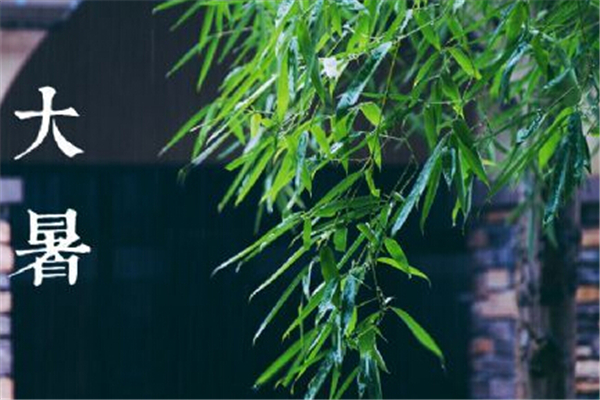 大暑吃什么食物養(yǎng)生 大暑吃羊肉有什么好處 大暑吃什么食物養(yǎng)生 大暑吃羊肉有什么好處