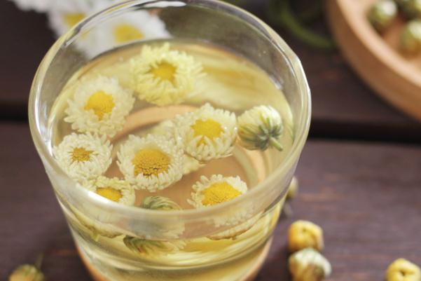 菊花茶是綠色的正常嗎 菊花茶最好現(xiàn)泡現(xiàn)喝 菊花茶是綠色的正常嗎 菊花茶最好現(xiàn)泡現(xiàn)喝