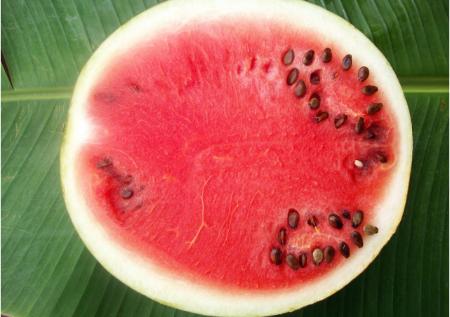 夏天吃西瓜可以解暑嗎 夏天吃西瓜容易長(zhǎng)胖嗎