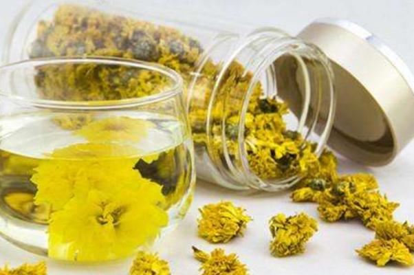 菊花茶喝多了有什么壞處 菊花茶可以長期喝嗎 菊花茶喝多了有什么壞處 菊花茶可以長期喝嗎