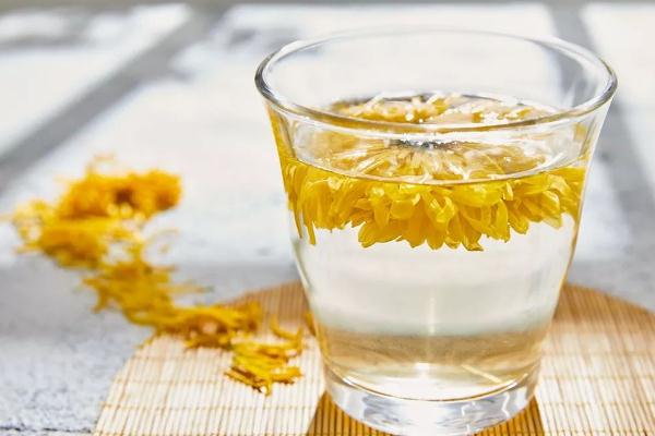 菊花茶喝多了有什么壞處 菊花茶可以長期喝嗎 菊花茶喝多了有什么壞處 菊花茶可以長期喝嗎