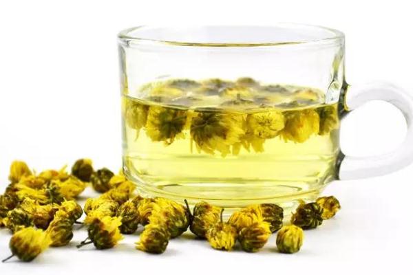 菊花茶是綠色的正常嗎 菊花茶最好現(xiàn)泡現(xiàn)喝 菊花茶是綠色的正常嗎 菊花茶最好現(xiàn)泡現(xiàn)喝