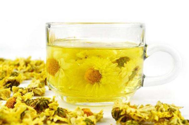 菊花茶喝多了有什么壞處 菊花茶可以長期喝嗎 菊花茶喝多了有什么壞處 菊花茶可以長期喝嗎
