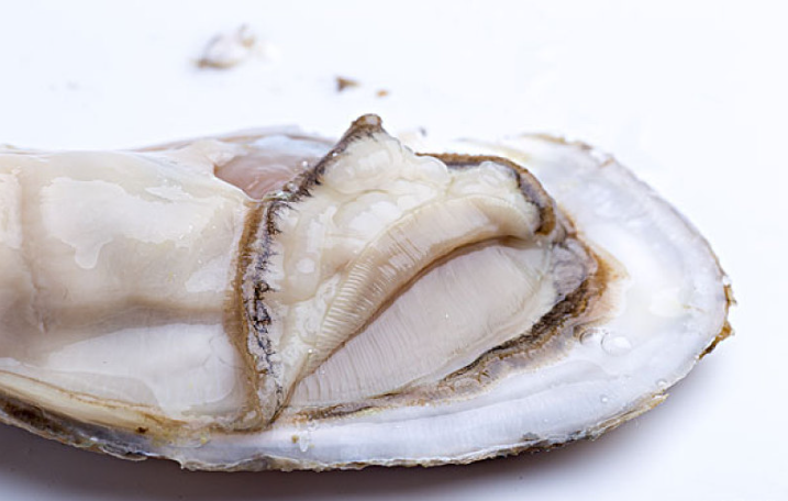 生蠔肉很腥是不是不新鮮 生蠔肉不白有點(diǎn)黃是什么原因 生蠔肉很腥是不是不新鮮 生蠔肉不白有點(diǎn)黃是什么原因