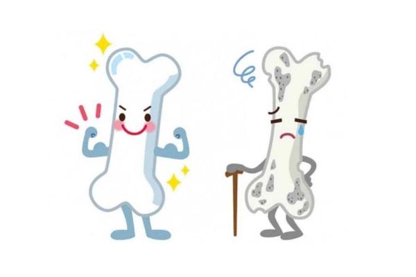 骨質(zhì)疏松最佳治方法 骨質(zhì)疏松可以治愈嗎 骨質(zhì)疏松最佳治方法 骨質(zhì)疏松可以治愈嗎