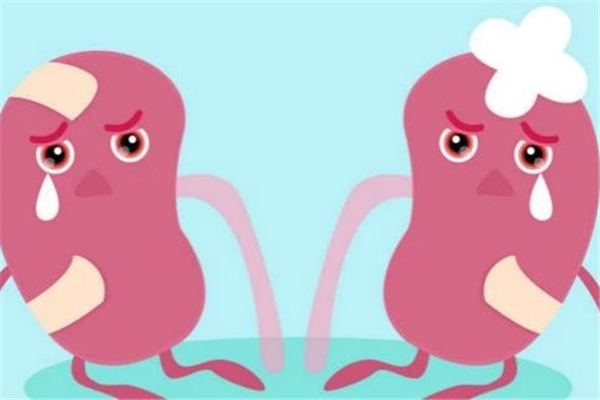 腎炎嚴(yán)重嗎 腎炎會導(dǎo)致什么后果 腎炎嚴(yán)重嗎 腎炎會導(dǎo)致什么后果