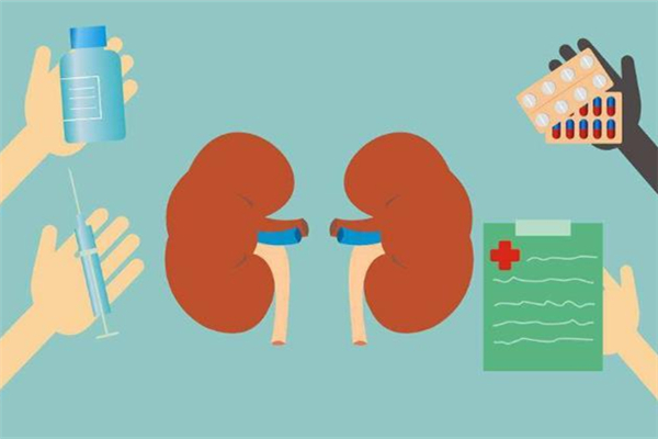 腎炎嚴(yán)重嗎 腎炎會導(dǎo)致什么后果 腎炎嚴(yán)重嗎 腎炎會導(dǎo)致什么后果