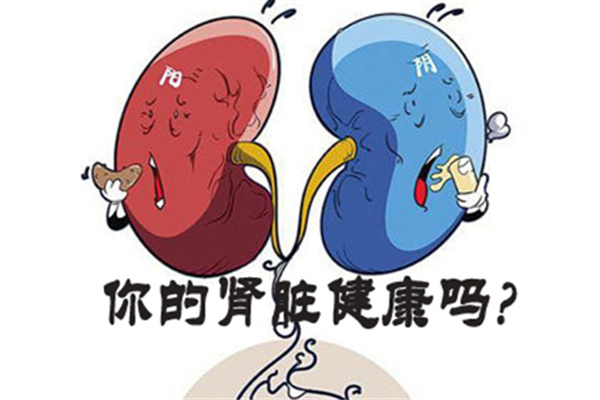 腎炎嚴(yán)重嗎 腎炎會導(dǎo)致什么后果 腎炎嚴(yán)重嗎 腎炎會導(dǎo)致什么后果