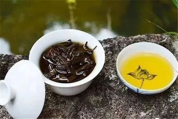 烏龍茶能冷泡嗎 烏龍茶怎么泡才正確 烏龍茶能冷泡嗎 烏龍茶怎么泡才正確