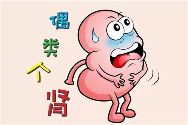 腎炎是不是憋尿造成的 腎炎會導(dǎo)致尿少嗎 腎炎是不是憋尿造成的 腎炎會導(dǎo)致尿少嗎