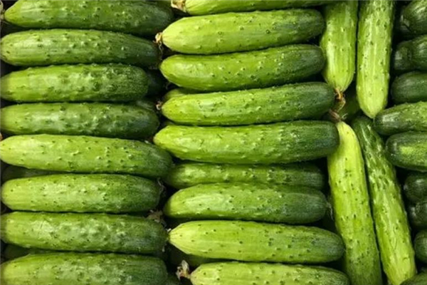 水果黃瓜洗完會(huì)掉綠色嗎 水果黃瓜洗完后水有顏色 水果黃瓜洗完會(huì)掉綠色嗎 水果黃瓜洗完后水有顏色