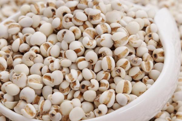 薏米的功效與作用 薏米泡水喝有什么功效 薏米的功效與作用 薏米泡水喝有什么功效