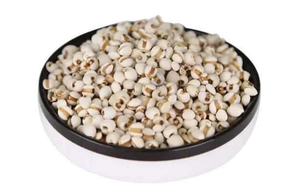 薏米孕婦能吃嗎 薏米孕婦為什么不能吃 薏米孕婦能吃嗎 薏米孕婦為什么不能吃