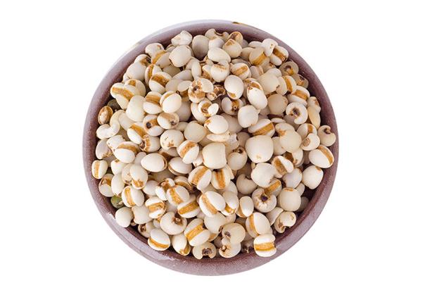 薏米的功效與作用 薏米泡水喝有什么功效 薏米的功效與作用 薏米泡水喝有什么功效