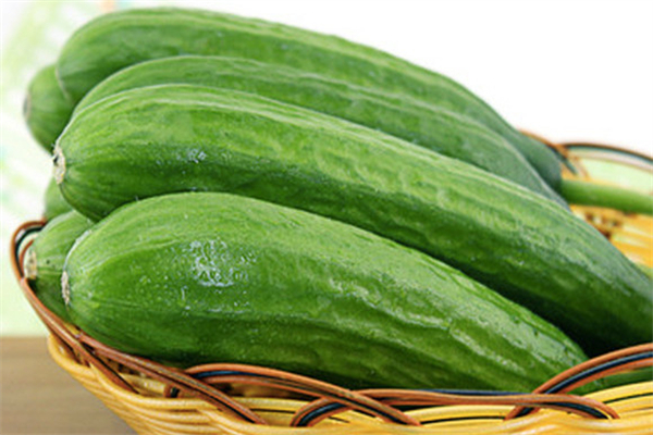水果黃瓜熱量 水果黃瓜適合減肥嗎 水果黃瓜熱量 水果黃瓜適合減肥嗎