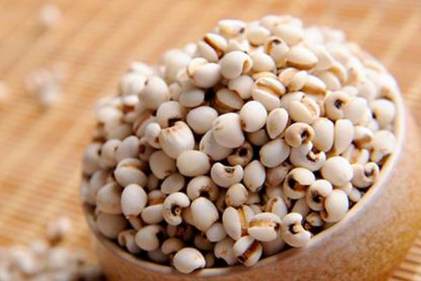 薏米和什么一起煮去濕氣最好 薏米和薏仁有什么區(qū)別 薏米和什么一起煮去濕氣最好 薏米和薏仁有什么區(qū)別