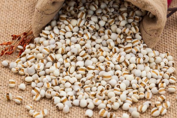 薏米孕婦能吃嗎 薏米孕婦為什么不能吃 薏米孕婦能吃嗎 薏米孕婦為什么不能吃