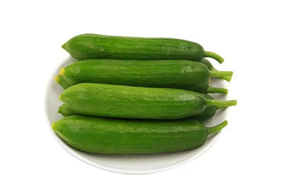 水果黃瓜孕婦可以生吃嗎 水果黃瓜孕婦吃的好處 水果黃瓜孕婦可以生吃嗎 水果黃瓜孕婦吃的好處