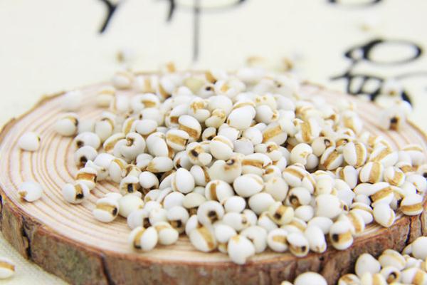 薏米會(huì)導(dǎo)致流產(chǎn)嗎 薏米會(huì)回奶嗎 薏米會(huì)導(dǎo)致流產(chǎn)嗎 薏米會(huì)回奶嗎