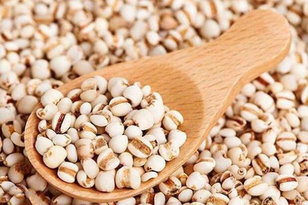 薏米和什么一起煮去濕氣最好 薏米和薏仁有什么區(qū)別 薏米和什么一起煮去濕氣最好 薏米和薏仁有什么區(qū)別