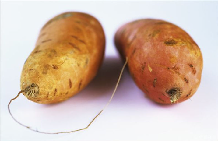 怎樣吃紅薯減肥效果最好 紅薯蒸熟后最長可以放多 怎樣吃紅薯減肥效果最好 紅薯蒸熟后最長可以放多