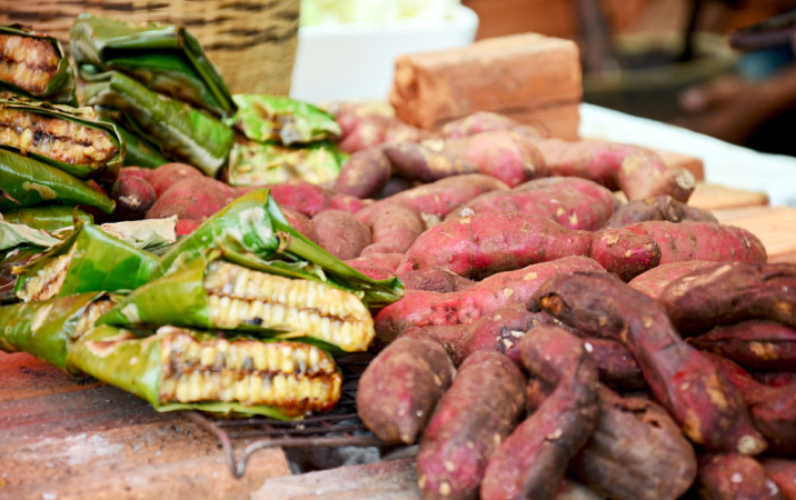 蜜薯的功效與作用 蜜薯是轉(zhuǎn)基因食品嗎 蜜薯的功效與作用 蜜薯是轉(zhuǎn)基因食品嗎