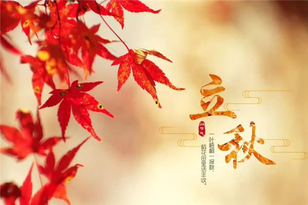 立秋要吃餃子嗎 立秋吃餃子還是面條 立秋要吃餃子嗎 立秋吃餃子還是面條