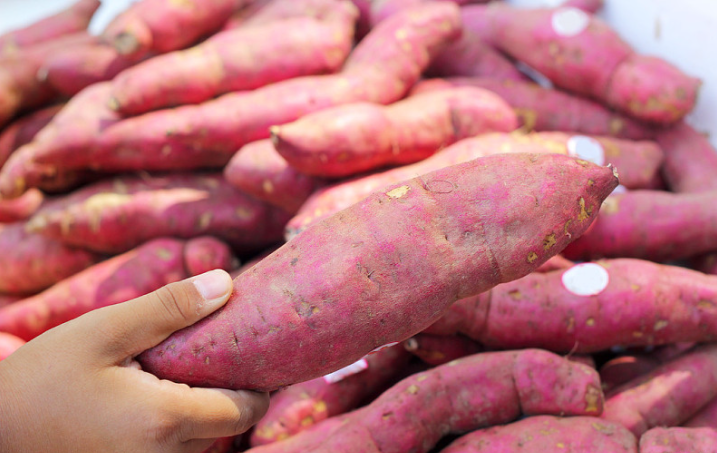 紅薯吃不完可以做什么 一天三頓吃紅薯減肥嗎 紅薯吃不完可以做什么 一天三頓吃紅薯減肥嗎