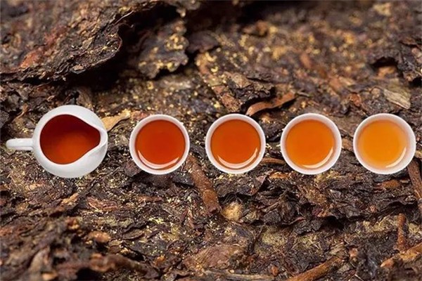 黑茶要洗茶嗎 黑茶要洗幾次 黑茶要洗茶嗎 黑茶要洗幾次