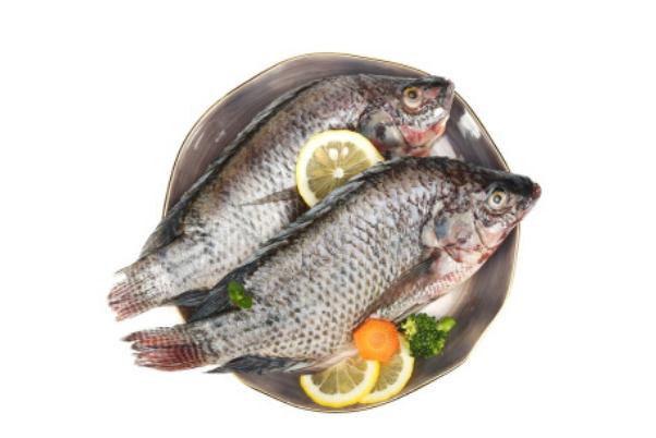 羅非魚(yú)可以生吃嗎 羅非魚(yú)可以清蒸嗎 羅非魚(yú)可以生吃嗎 羅非魚(yú)可以清蒸嗎