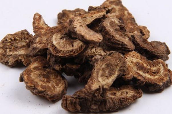 羌活的用量是多少克 羌活的藥用價值 羌活的用量是多少克 羌活的藥用價值