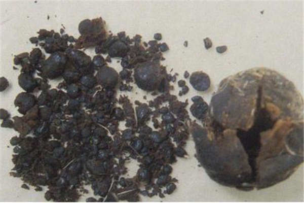 麝香會導(dǎo)致月經(jīng)不正常嗎 麝香會影響月經(jīng)嗎 麝香會導(dǎo)致月經(jīng)不正常嗎 麝香會影響月經(jīng)嗎