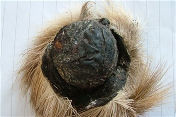 麝香有助于睡眠嗎 麝香會睡眠有影響嗎 麝香有助于睡眠嗎 麝香會睡眠有影響嗎