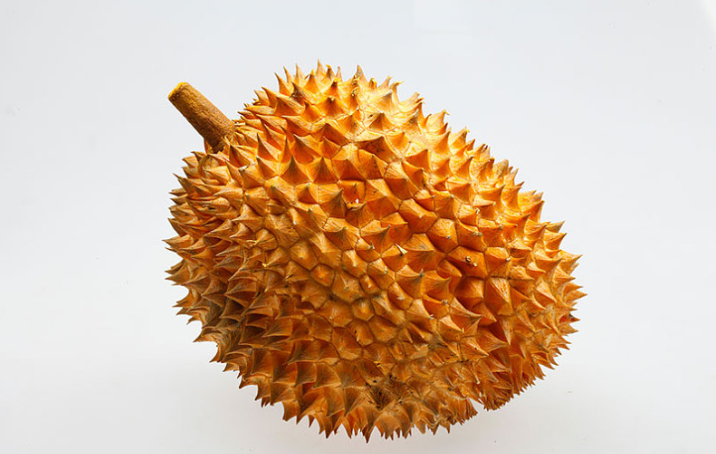 榴蓮一直不開口會壞嗎 榴蓮肉放常溫下一晚上可以嗎 榴蓮一直不開口會壞嗎 榴蓮肉放常溫下一晚上可以嗎