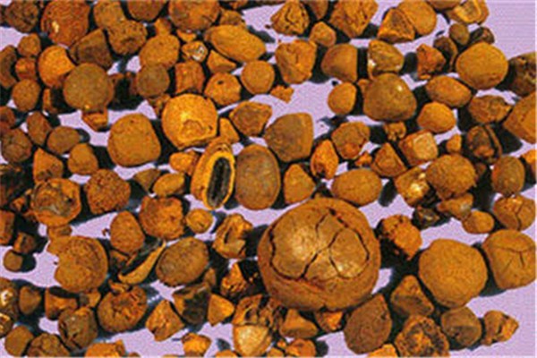 牛黃有什么作用和功效 牛黃有毒性嗎 牛黃有什么作用和功效 牛黃有毒性嗎