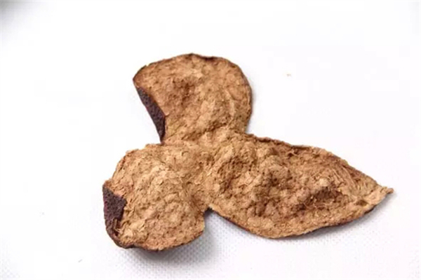 陳皮有苦味正常嗎 陳皮為什么會苦 陳皮有苦味正常嗎 陳皮為什么會苦