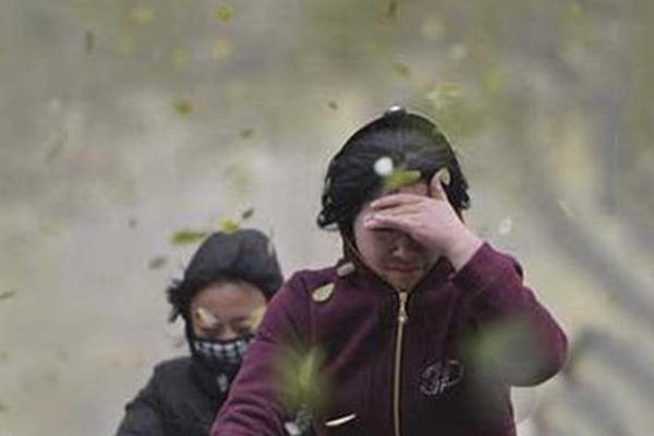 邯鄲突發(fā)大風(fēng) 大風(fēng)天氣安全防范措施 邯鄲突發(fā)大風(fēng) 大風(fēng)天氣安全防范措施