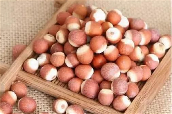 芡實要炒熟嗎 芡實炒過和沒炒過的區(qū)別 芡實要炒熟嗎 芡實炒過和沒炒過的區(qū)別