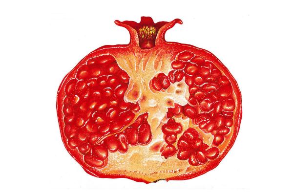 石榴對(duì)人的身體有什么好處 石榴對(duì)女人的功效與作用 石榴對(duì)人的身體有什么好處 石榴對(duì)女人的功效與作用