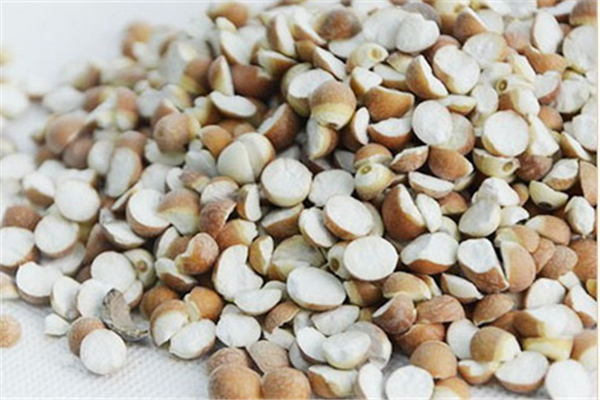 芡實為什么有的白色有的紅色 芡實紅的好還是白的好 芡實為什么有的白色有的紅色 芡實紅的好還是白的好