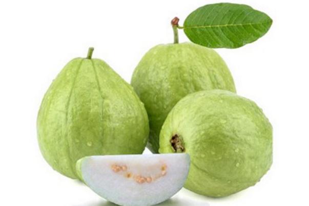 番石榴有點(diǎn)澀是怎么回事 番石榴的禁忌 番石榴有點(diǎn)澀是怎么回事 番石榴的禁忌