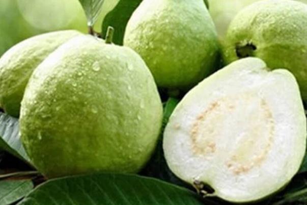 番石榴的營養(yǎng)價值 番石榴的壞處 番石榴的營養(yǎng)價值 番石榴的壞處